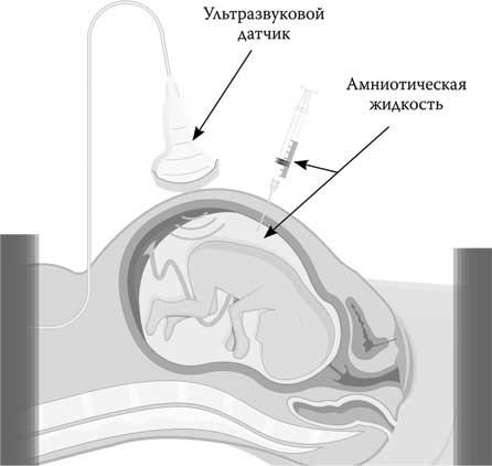 Иллюстрация к книге — Твоя жизнь до рождения: тайны эволюции человека [i_037.jpg]