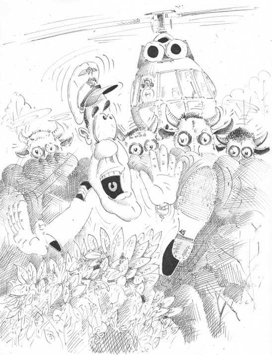 Иллюстрация к книге — Удивительные истории о мужчинах [i_008.jpg]