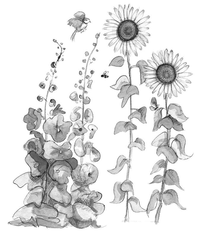 Иллюстрация к книге — Мальчик, который залез в Луну [i_020.jpg]