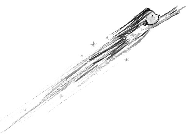 Иллюстрация к книге — Мальчик, который залез в Луну [i_043.jpg]