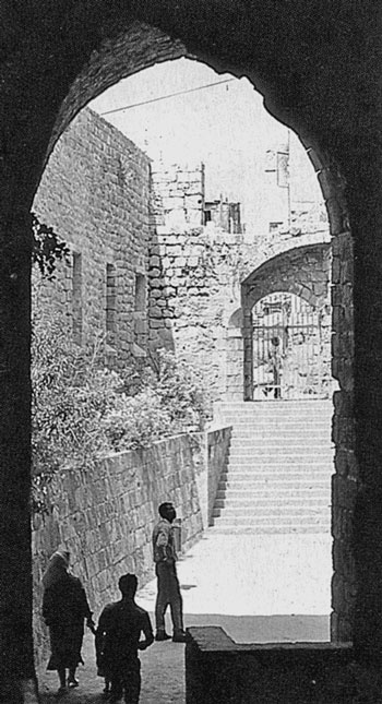 Иллюстрация к книге — Израиль. Путешествие за впечатлением и здоровьем [i_027.jpg]