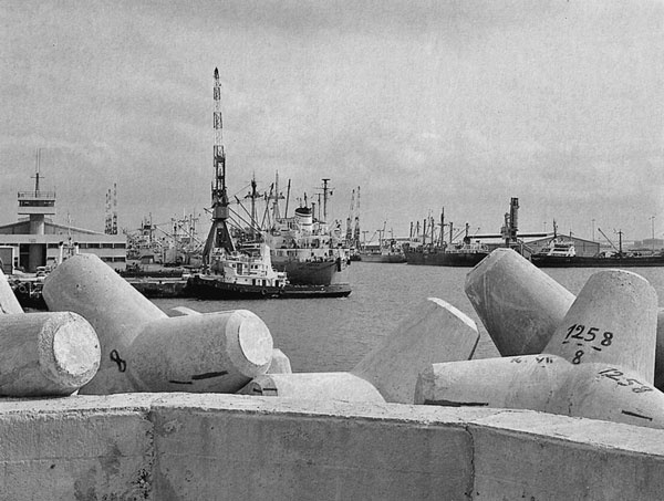 Иллюстрация к книге — Израиль. Путешествие за впечатлением и здоровьем [i_050.jpg]