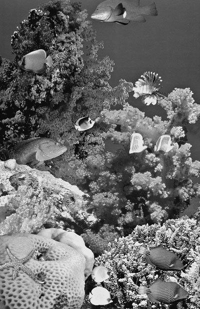 Иллюстрация к книге — Израиль. Путешествие за впечатлением и здоровьем [i_054.jpg]