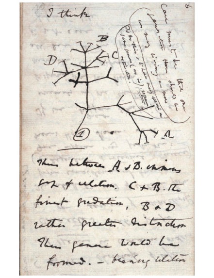 Иллюстрация к книге — Интеллект-карты [i_014.jpg]