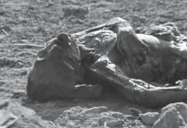 Иллюстрация к книге — Susan Sontag. Женщина, которая изменила культуру XX века [i_051.jpg]