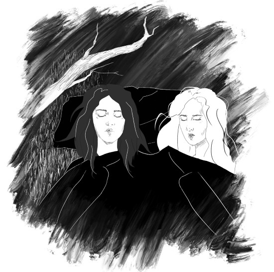 Иллюстрация к книге — Вундеркидз. Вилдвудская академия [i_019.jpg]