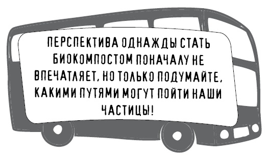 Иллюстрация к книге — Безбожно счастлив. Почему без религии нам жилось бы лучше [img_65.jpg]