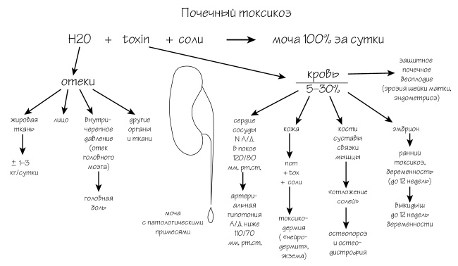 Иллюстрация к книге — Разумный биохакинг Homo Sapiens: физическое тело и его законы [i_005.jpg]