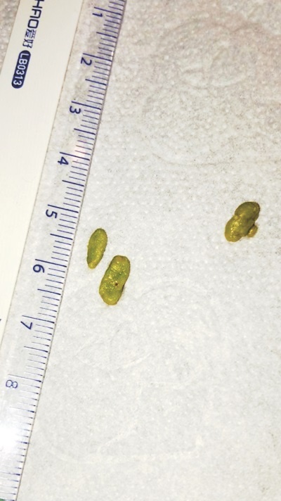 Иллюстрация к книге — Разумный биохакинг Homo Sapiens: физическое тело и его законы [i_015.jpg]