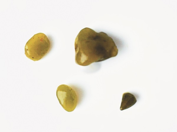 Иллюстрация к книге — Разумный биохакинг Homo Sapiens: физическое тело и его законы [i_016.jpg]