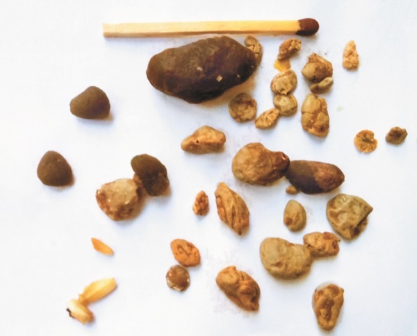 Иллюстрация к книге — Разумный биохакинг Homo Sapiens: физическое тело и его законы [i_017.jpg]