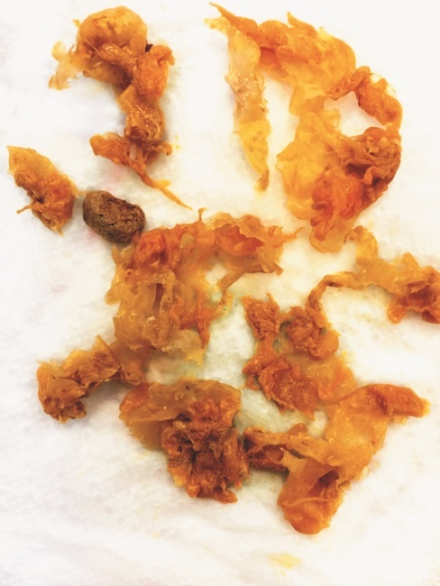 Иллюстрация к книге — Разумный биохакинг Homo Sapiens: физическое тело и его законы [i_020.jpg]