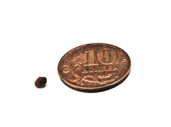 Иллюстрация к книге — Разумный биохакинг Homo Sapiens: физическое тело и его законы [i_023.jpg]