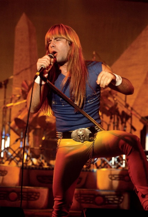 Иллюстрация к книге — Зачем нужна эта кнопка? Автобиография пилота и вокалиста Iron Maiden [i_012.jpg]