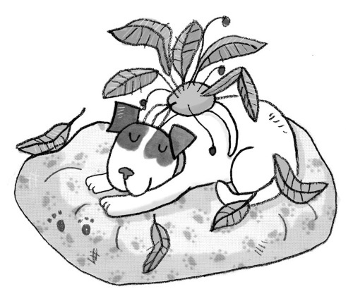 Иллюстрация к книге — Свадебный щенок [i_032.jpg]