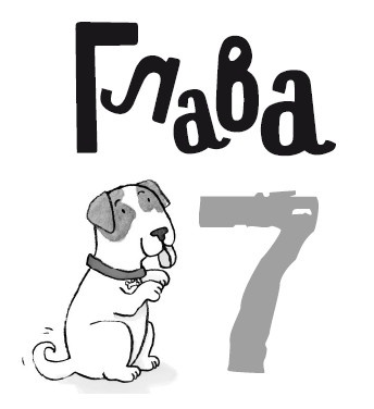 Иллюстрация к книге — Свадебный щенок [i_040.jpg]