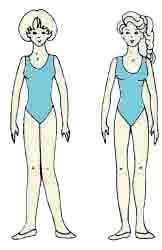 Иллюстрация к книге — Энциклопедия женской красоты и здоровья [i_032.jpg]