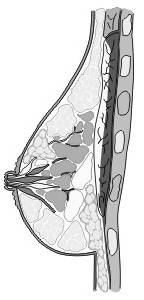 Иллюстрация к книге — Энциклопедия женской красоты и здоровья [i_078.jpg]