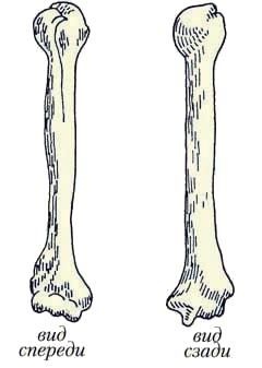 Иллюстрация к книге — Энциклопедия женской красоты и здоровья [i_123.jpg]