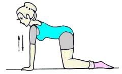 Иллюстрация к книге — Энциклопедия женской красоты и здоровья [i_127.jpg]