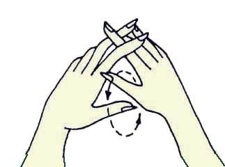 Иллюстрация к книге — Энциклопедия женской красоты и здоровья [i_158.jpg]