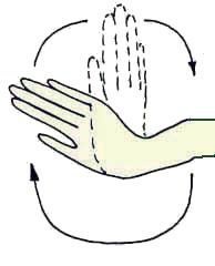 Иллюстрация к книге — Энциклопедия женской красоты и здоровья [i_189.jpg]