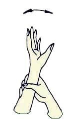 Иллюстрация к книге — Энциклопедия женской красоты и здоровья [i_192.jpg]