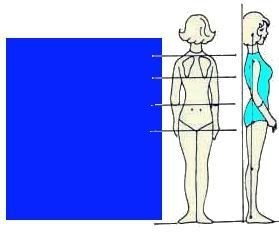 Иллюстрация к книге — Энциклопедия женской красоты и здоровья [i_225.jpg]