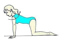 Иллюстрация к книге — Энциклопедия женской красоты и здоровья [i_263.jpg]