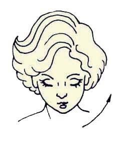 Иллюстрация к книге — Энциклопедия женской красоты и здоровья [i_265.jpg]