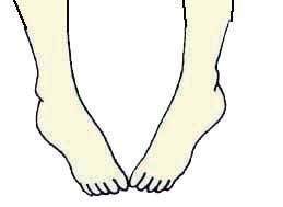 Иллюстрация к книге — Энциклопедия женской красоты и здоровья [i_331.jpg]