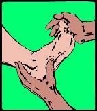 Иллюстрация к книге — Энциклопедия женской красоты и здоровья [i_334.jpg]