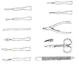 Иллюстрация к книге — Энциклопедия женской красоты и здоровья [i_359.jpg]