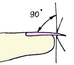 Иллюстрация к книге — Энциклопедия женской красоты и здоровья [i_362.jpg]