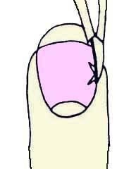 Иллюстрация к книге — Энциклопедия женской красоты и здоровья [i_366.jpg]