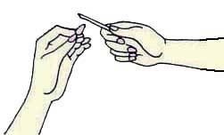 Иллюстрация к книге — Энциклопедия женской красоты и здоровья [i_369.jpg]