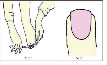 Иллюстрация к книге — Энциклопедия женской красоты и здоровья [i_381.jpg]