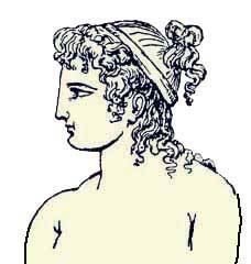 Иллюстрация к книге — Энциклопедия женской красоты и здоровья [i_392.jpg]