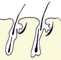 Иллюстрация к книге — Энциклопедия женской красоты и здоровья [i_418.jpg]