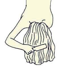 Иллюстрация к книге — Энциклопедия женской красоты и здоровья [i_420.jpg]