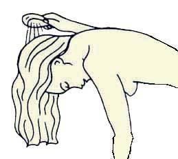 Иллюстрация к книге — Энциклопедия женской красоты и здоровья [i_423.jpg]