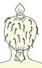 Иллюстрация к книге — Энциклопедия женской красоты и здоровья [i_432.jpg]