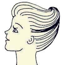 Иллюстрация к книге — Энциклопедия женской красоты и здоровья [i_437.jpg]