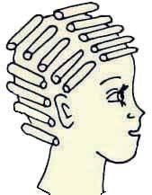 Иллюстрация к книге — Энциклопедия женской красоты и здоровья [i_452.jpg]