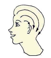 Иллюстрация к книге — Энциклопедия женской красоты и здоровья [i_461.jpg]