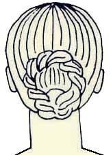 Иллюстрация к книге — Энциклопедия женской красоты и здоровья [i_479.jpg]