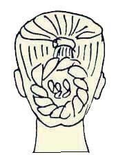 Иллюстрация к книге — Энциклопедия женской красоты и здоровья [i_486.jpg]