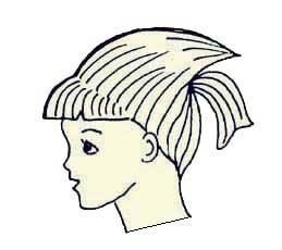 Иллюстрация к книге — Энциклопедия женской красоты и здоровья [i_517.jpg]