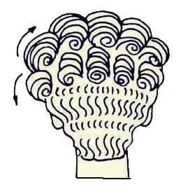 Иллюстрация к книге — Энциклопедия женской красоты и здоровья [i_546.jpg]