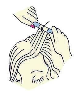 Иллюстрация к книге — Энциклопедия женской красоты и здоровья [i_551.jpg]